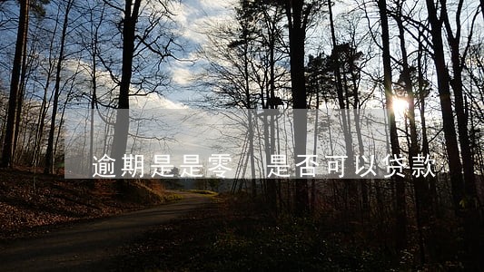 逾期是是零 是否可以贷款 逾期是是零 是否可以贷款